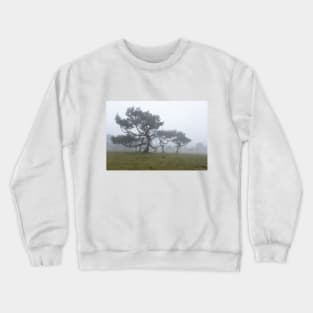 Ancient trees shrouded in fog Crewneck Sweatshirt